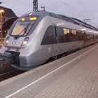 Hamster bei der S-Bahn in Halle