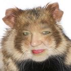 hamster-claudia