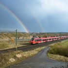 Hamster im Regenbogenland