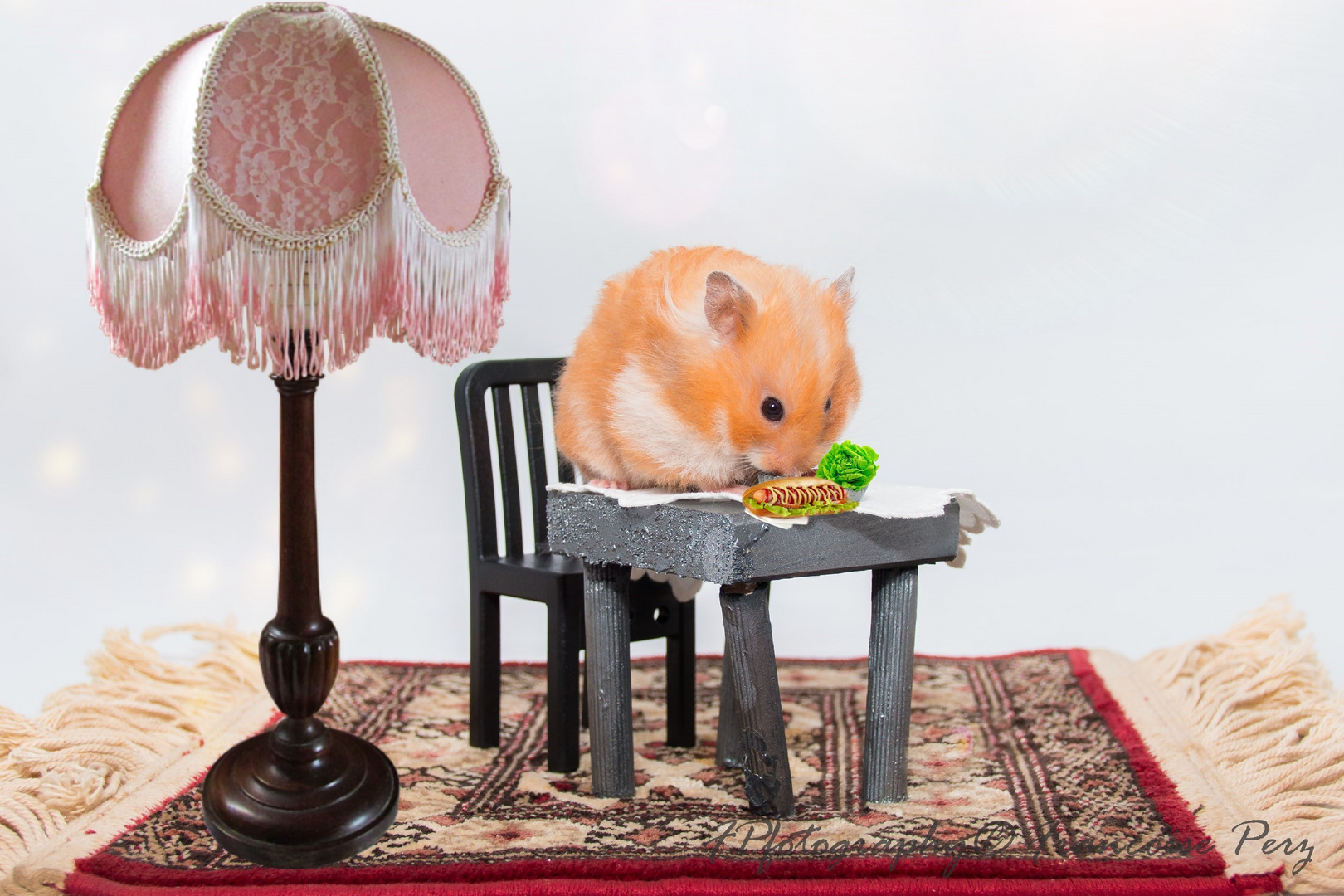 Hamster Louis beim Dinner