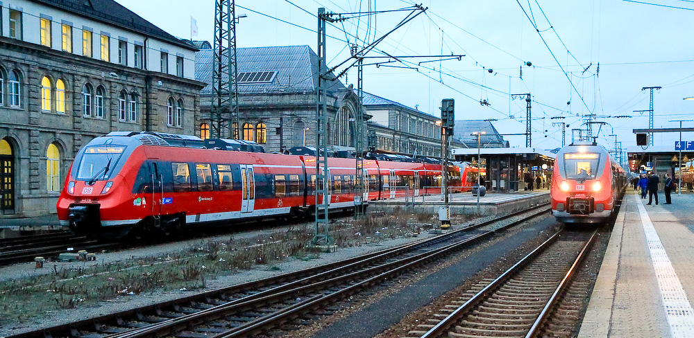 Hamster nach Jena