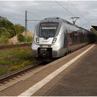 Hamsterbacke  im Bahnhof Weißenfels 