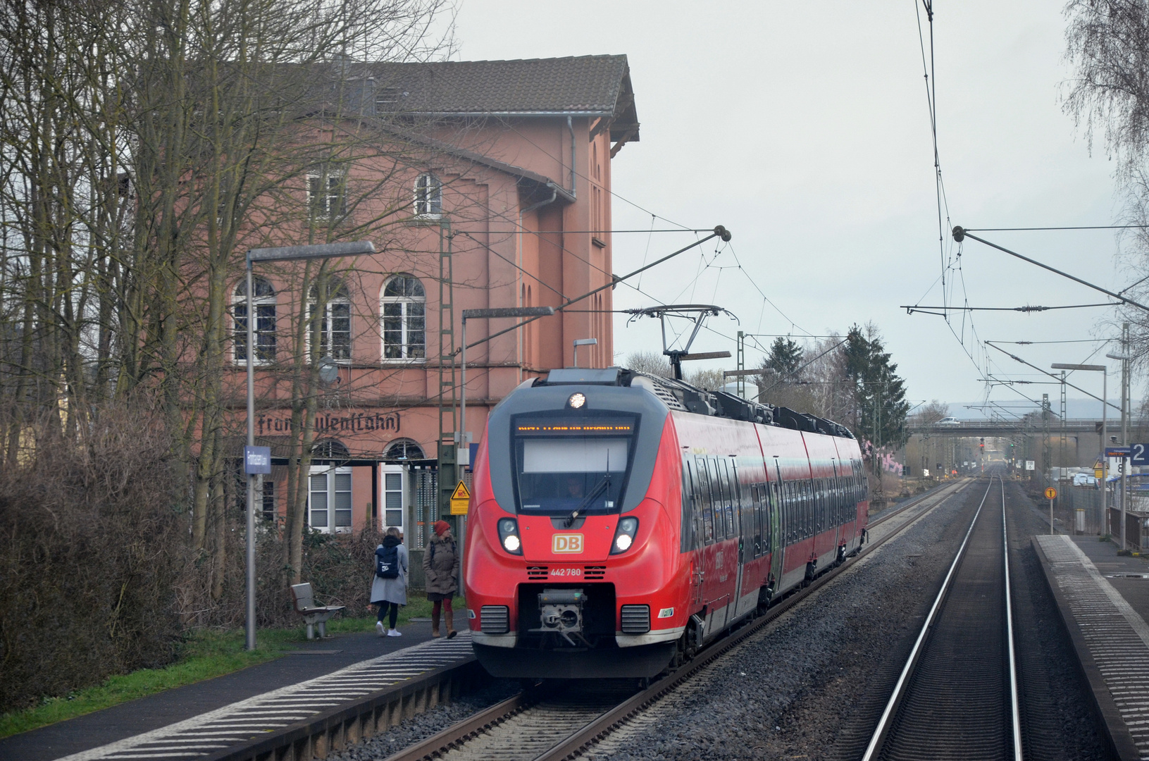 Hamsterbacke in Fronhausen