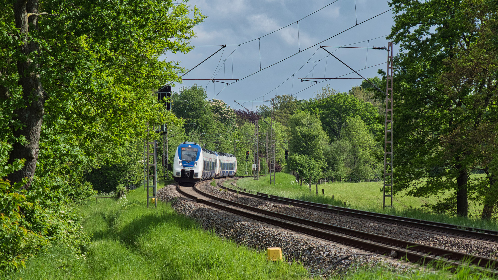 Hamsterbacke in frühlingshafter Landschaft