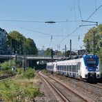 "Hamsterbacke" in Wuppertal-Barmen