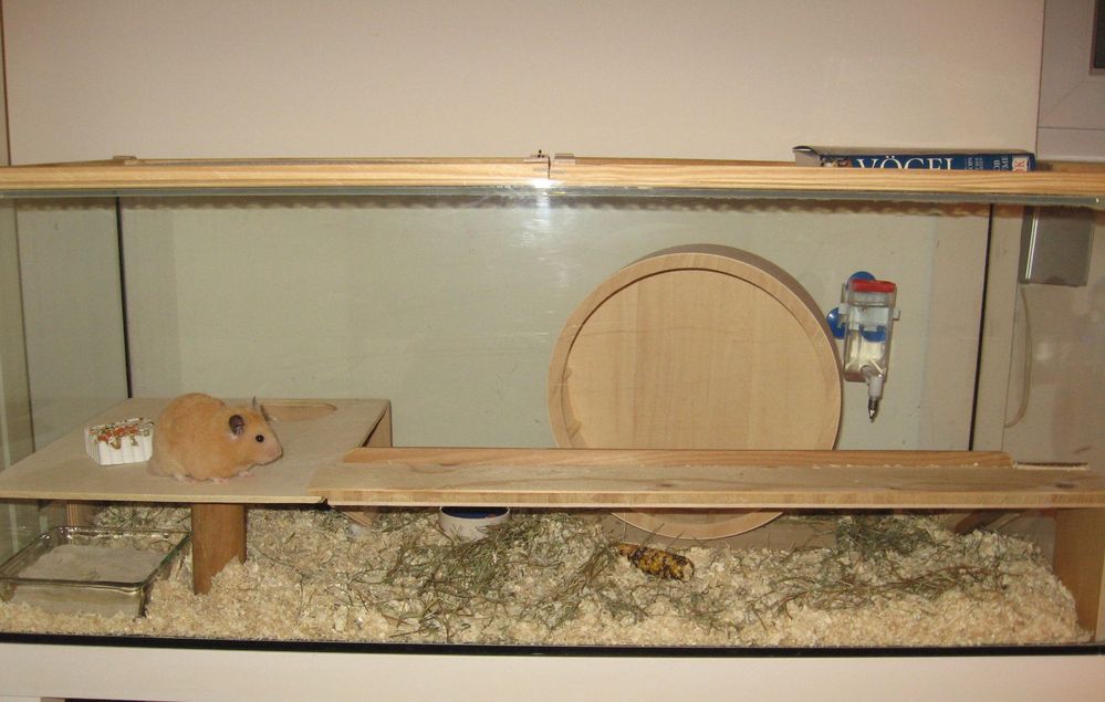 Hamsterbehausung Foto & Bild - Hamsterbehausung 74204a5D 1b27 4aa9 8a8f 6bf9f28361b1