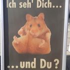 Hamsterkäufe oder Gelassenheit???