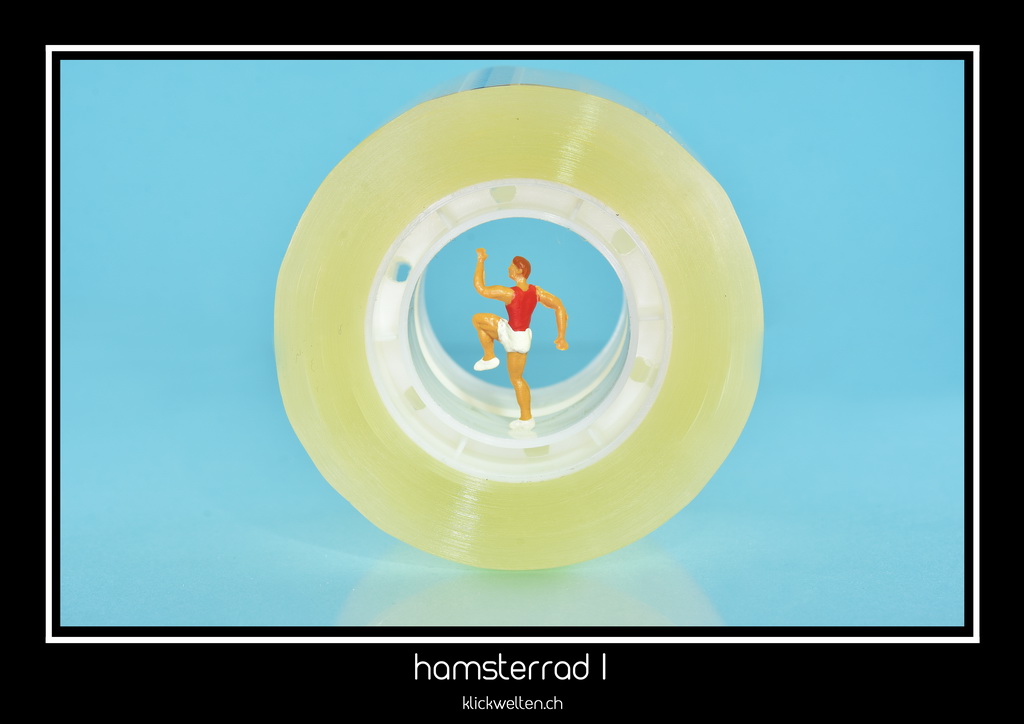 hamsterrad I