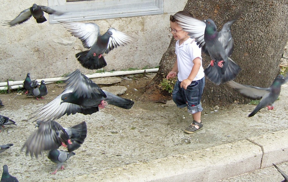 Hamza in Eyüp