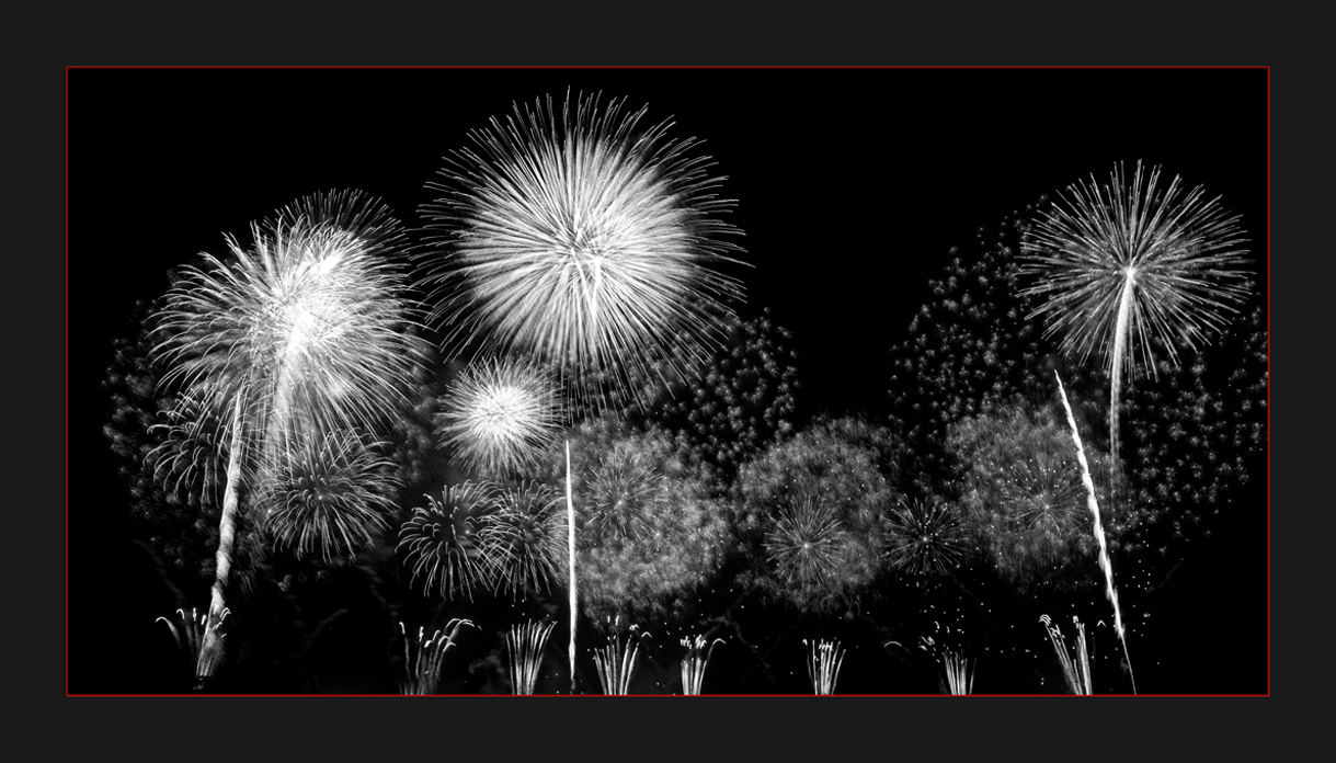 HANABI 4 / Dandelion