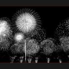 HANABI 4 / Dandelion