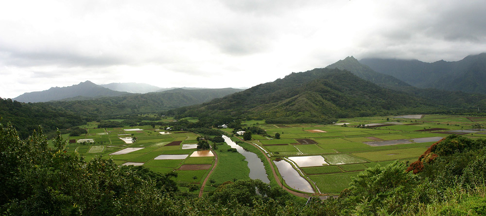 Hanalei Valley