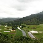 Hanalei Valley