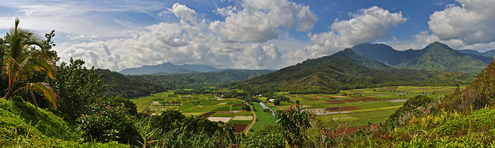 hanalei valley