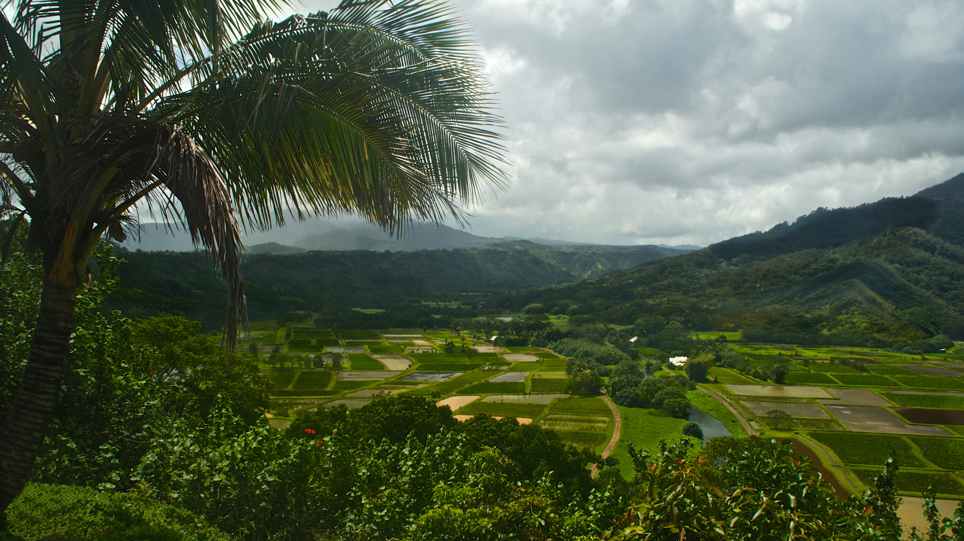 Hanalei Valley in kauai