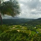 Hanalei Valley in kauai