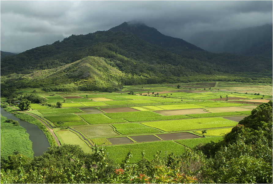 Hanalei Valley (Kauai)