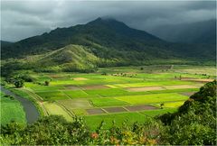 Hanalei Valley (Kauai)