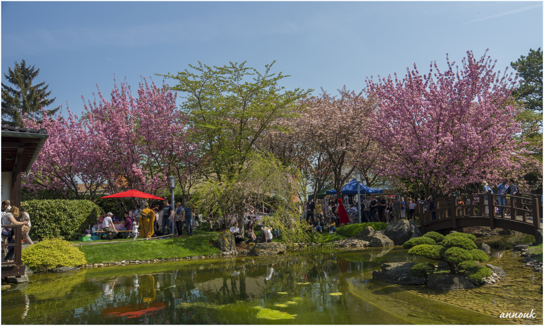 Hanami - Bad Langensalza