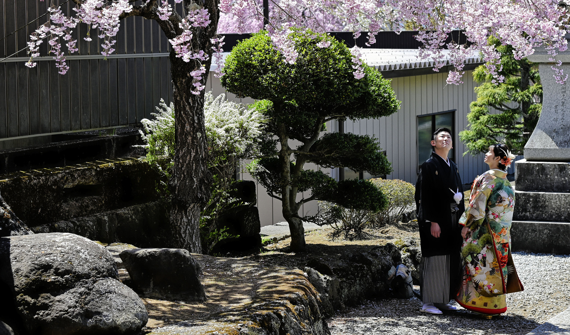 Hanami (japanisch , „Blüten betrachten“)