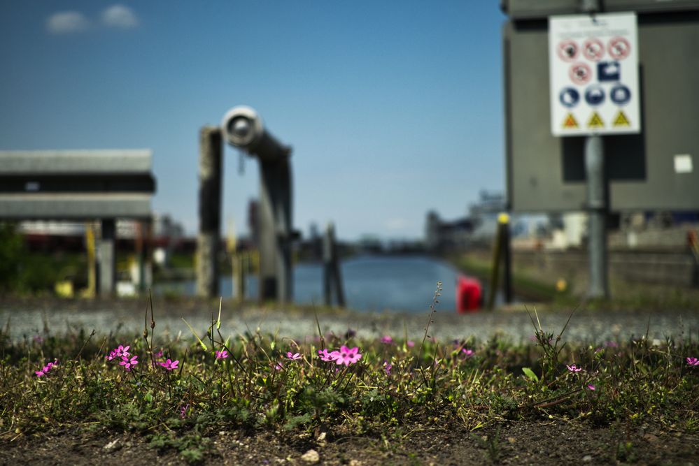 Hanau Hafen