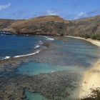 Hanauma Bay auf Oahu (Hawaii) 