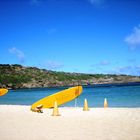 Hanauma Bay - HAWAII