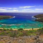 Hanauma Bay Hawaii 2008