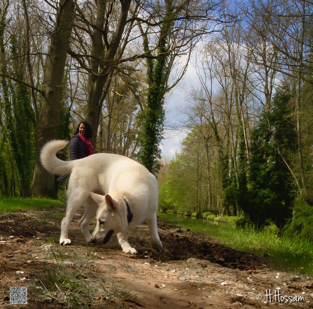 Hanche, Eure-et-Loir