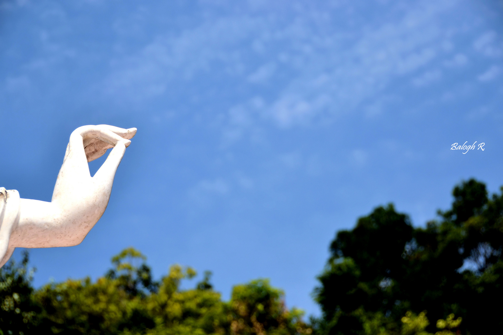 hand als argumentationsgeste (vitarka mudra)