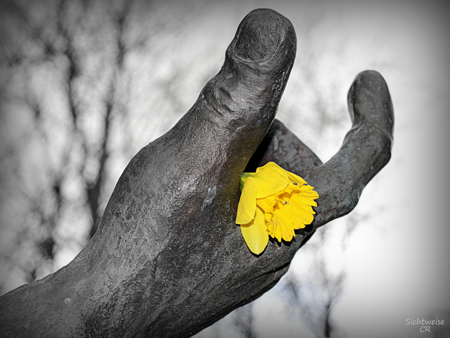 hand and flower on Wednesday