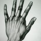 Hand