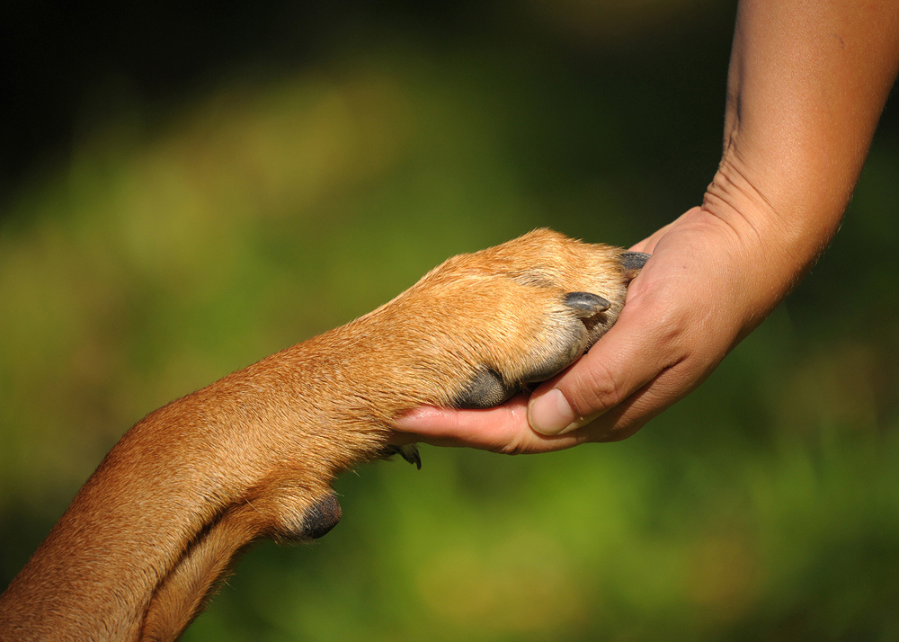 Hand in Hand