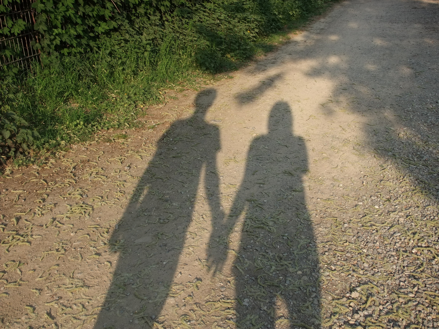 Hand in Hand den gemeinsamen Weg entlang... Foto & Bild erwachsene menschen, menschen in der