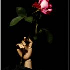 Hand mit Rose