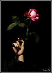 Hand mit Rose