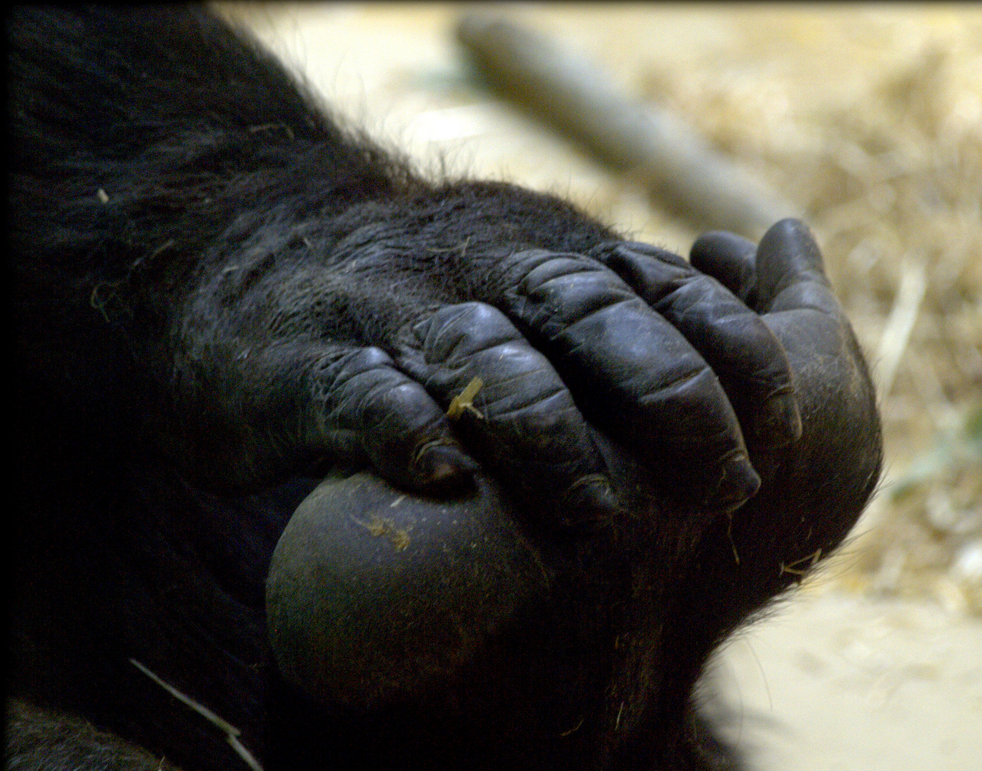 Hand und Fuß