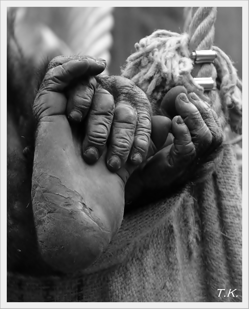 Hand Und Fuß Hand Und Fuß