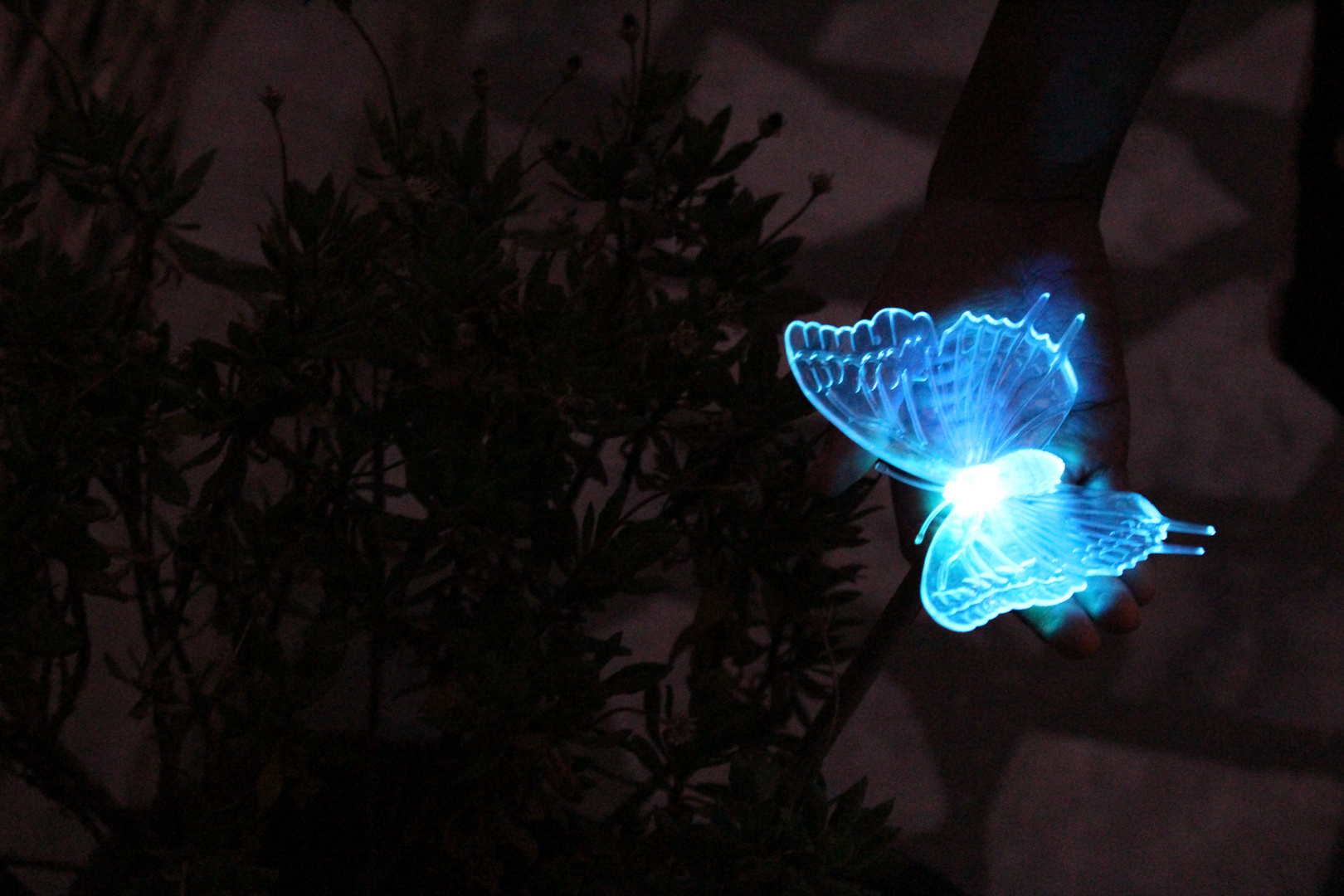 Hand with blue butterfly