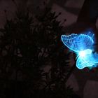 Hand with blue butterfly