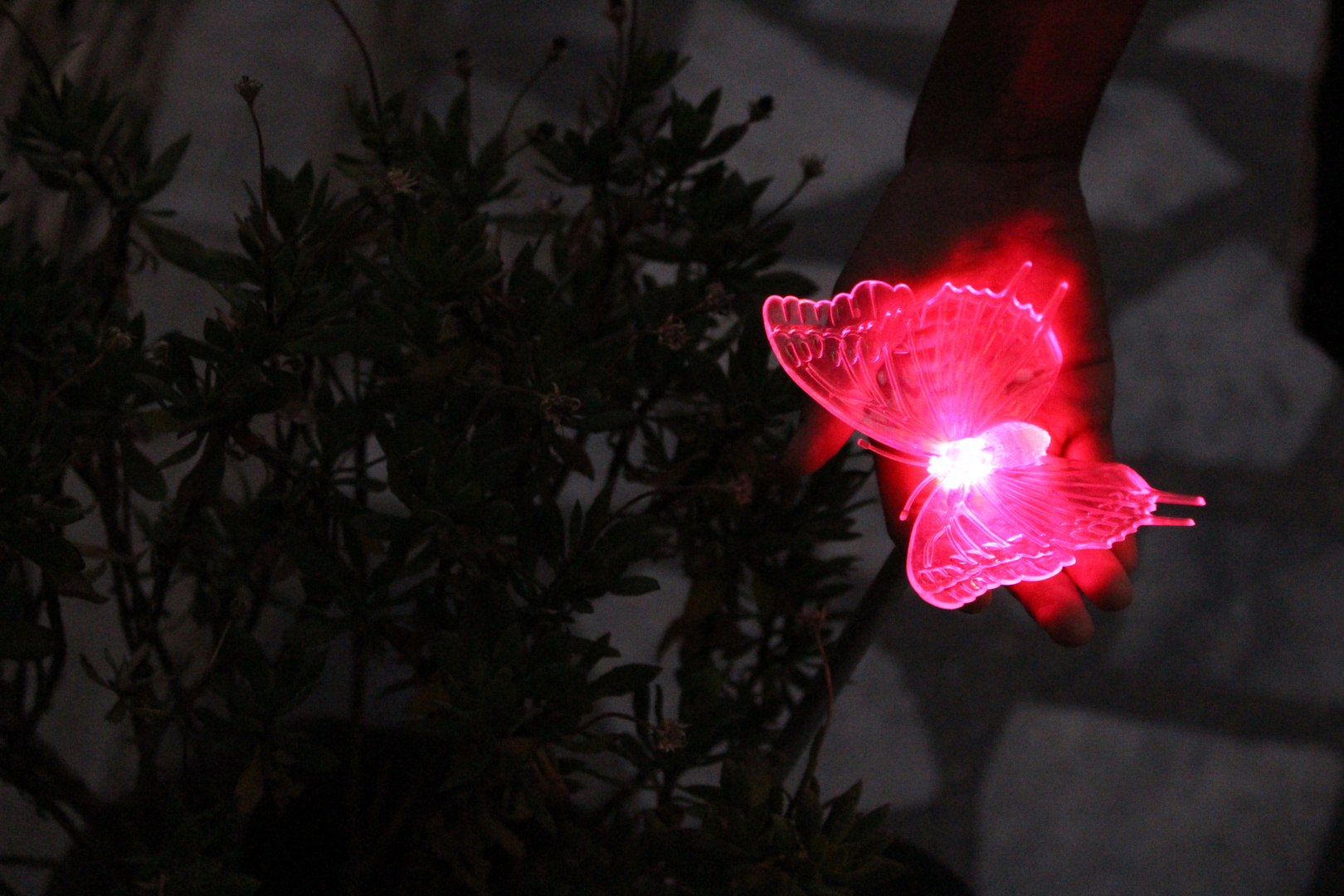 Hand with red butterfly