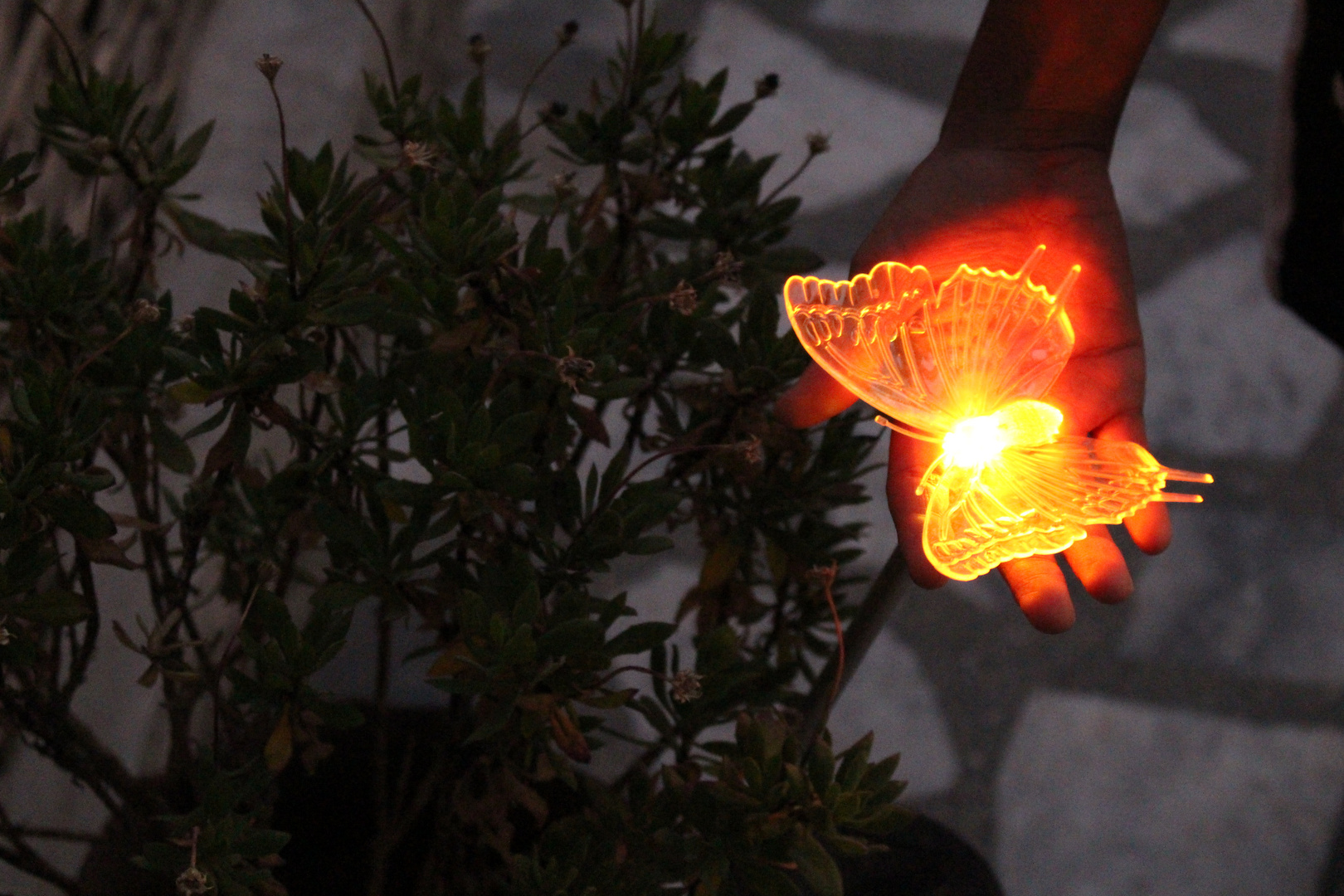 Hand with yellow butterfly