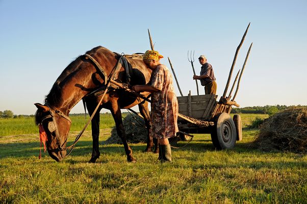 Die Walachei Bilder & Fotos