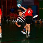 Handball 4