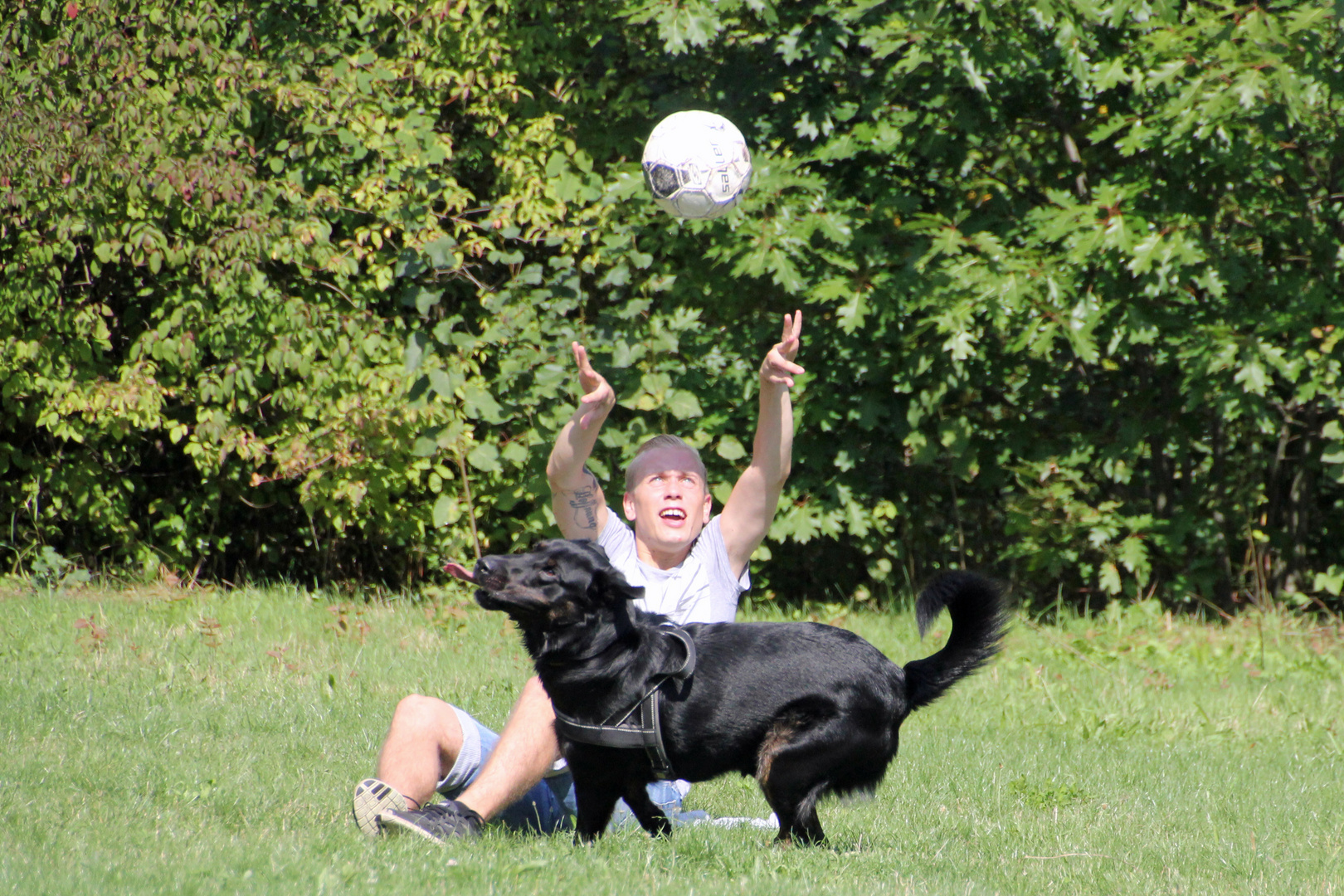 Handball