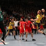 Handball Bundesliga - MT Melsungen vs. Rhein-Neckar Löwen 8969