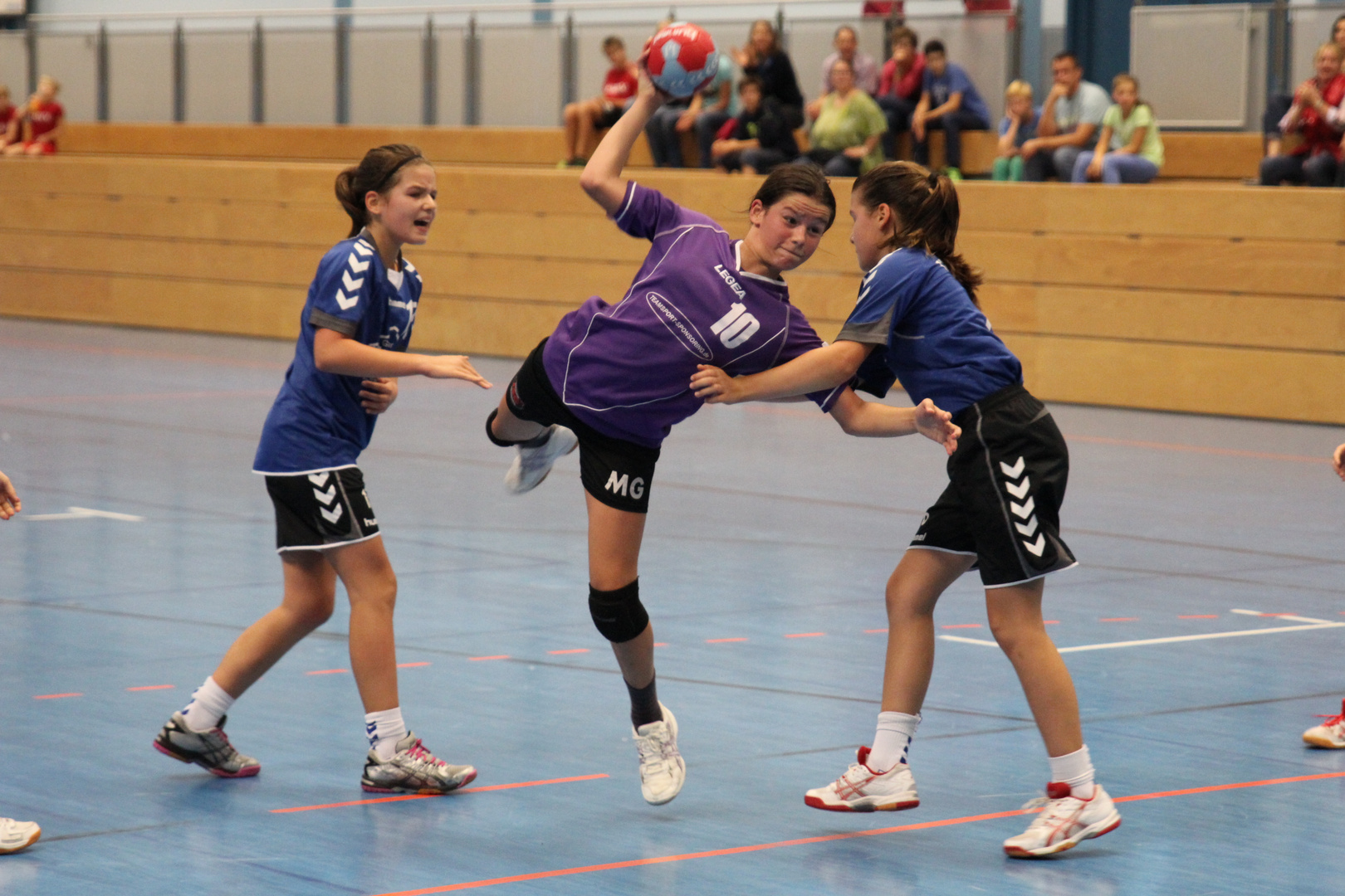 Handballsport