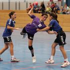 Handballsport