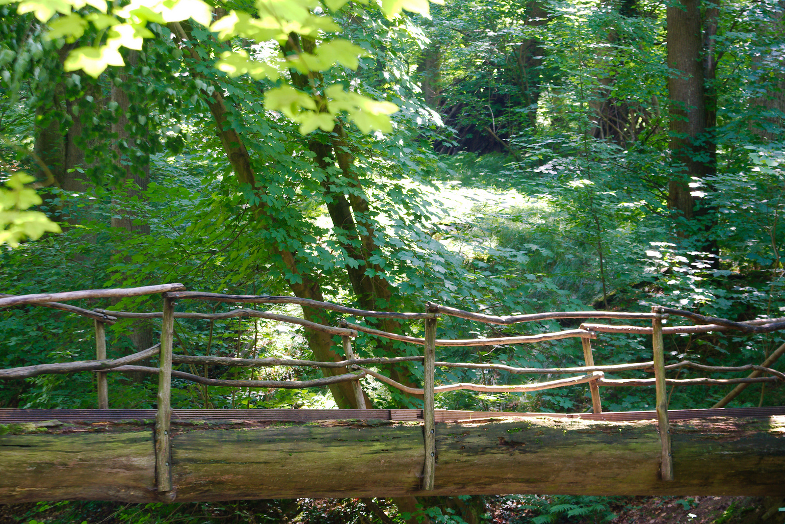 Handgemachte Brücke auf der Göditzer Skala