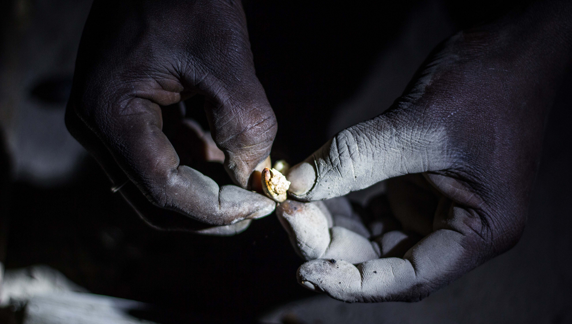 Handgeschälte Cashewkerne